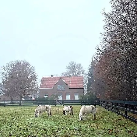 Hoeve De Snippert Bed and Breakfast Groenlo