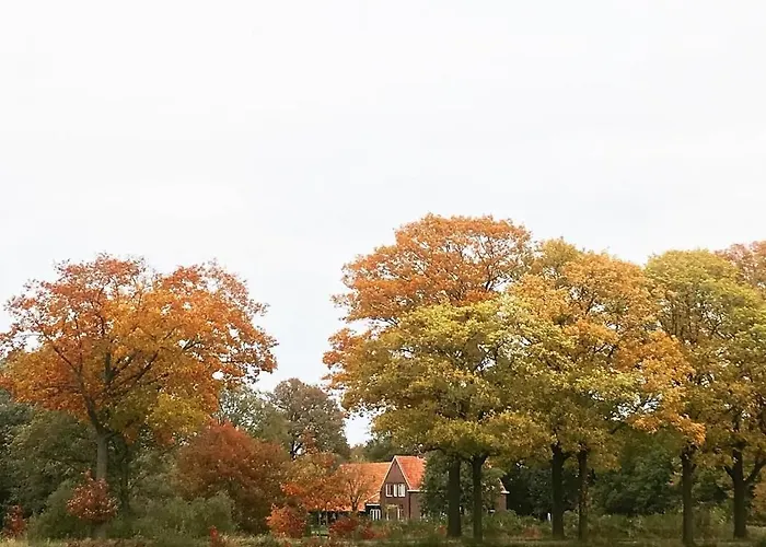 Hoeve De Snippert 3* Groenlo