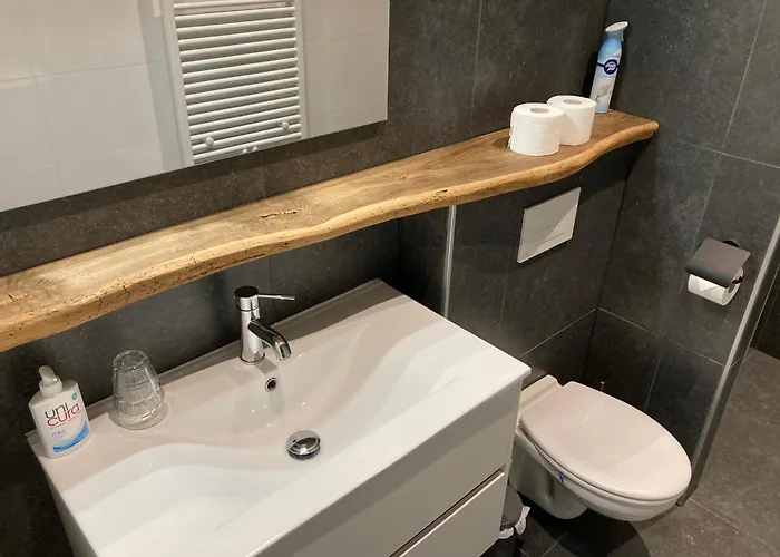 Hoeve De Snippert 3* Groenlo